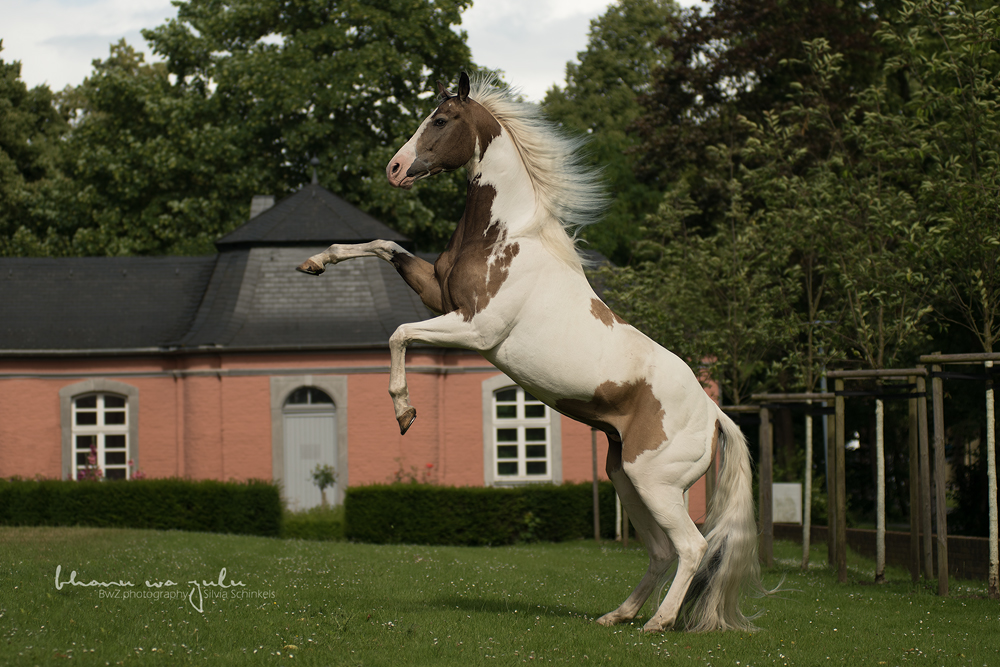 tfp - kostenloses Fotoshooting tfp shooting Bild