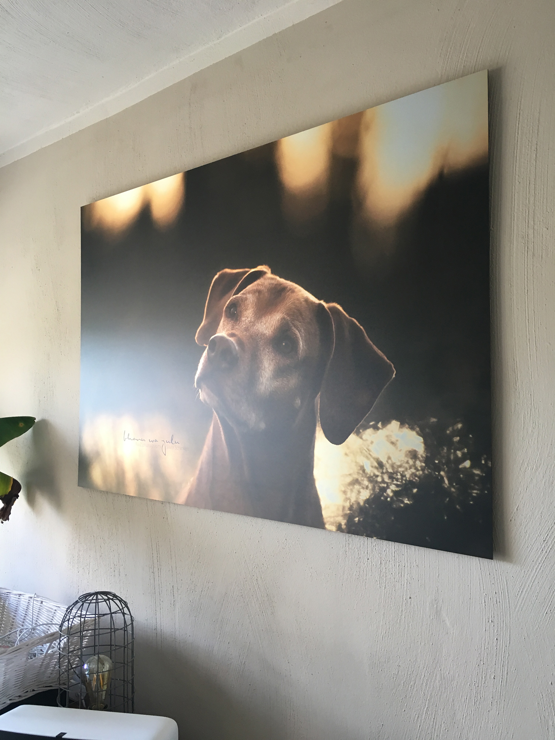 Wandbild Bhanu Schnu Wandbild