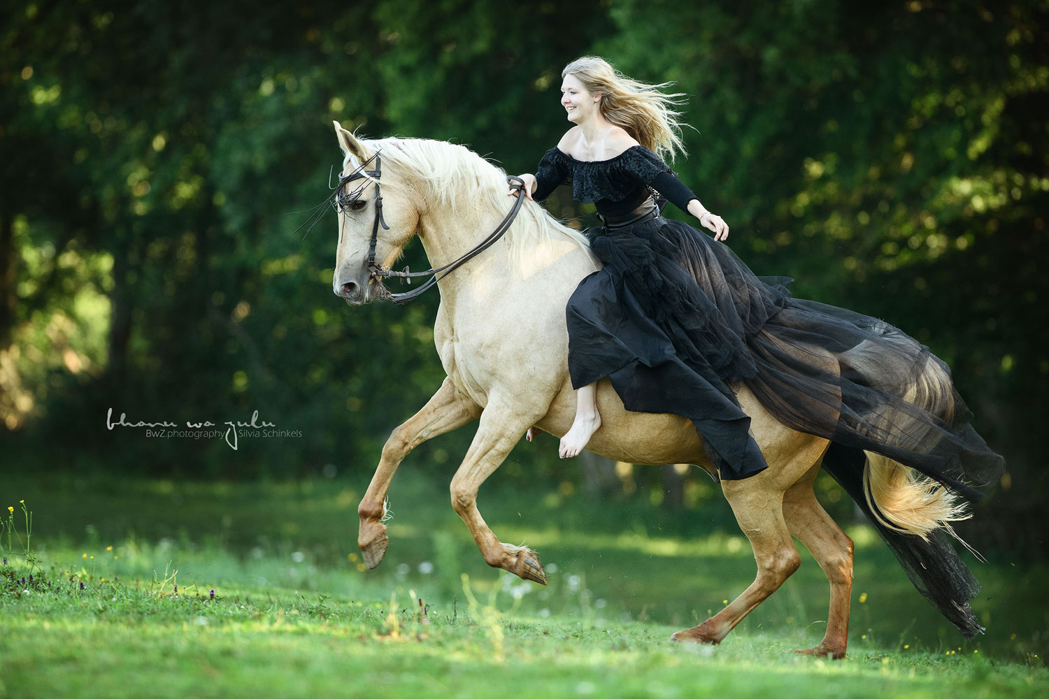 Pferdefotografie by Silvia Schinkels