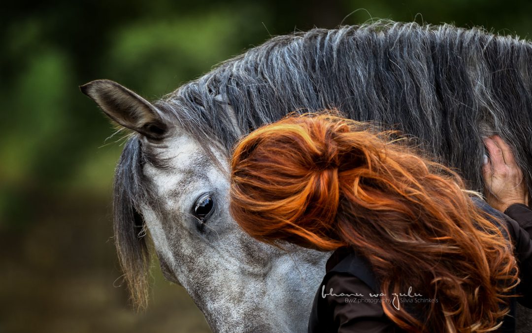 Pferdefotografie, Emotionen by BwZ