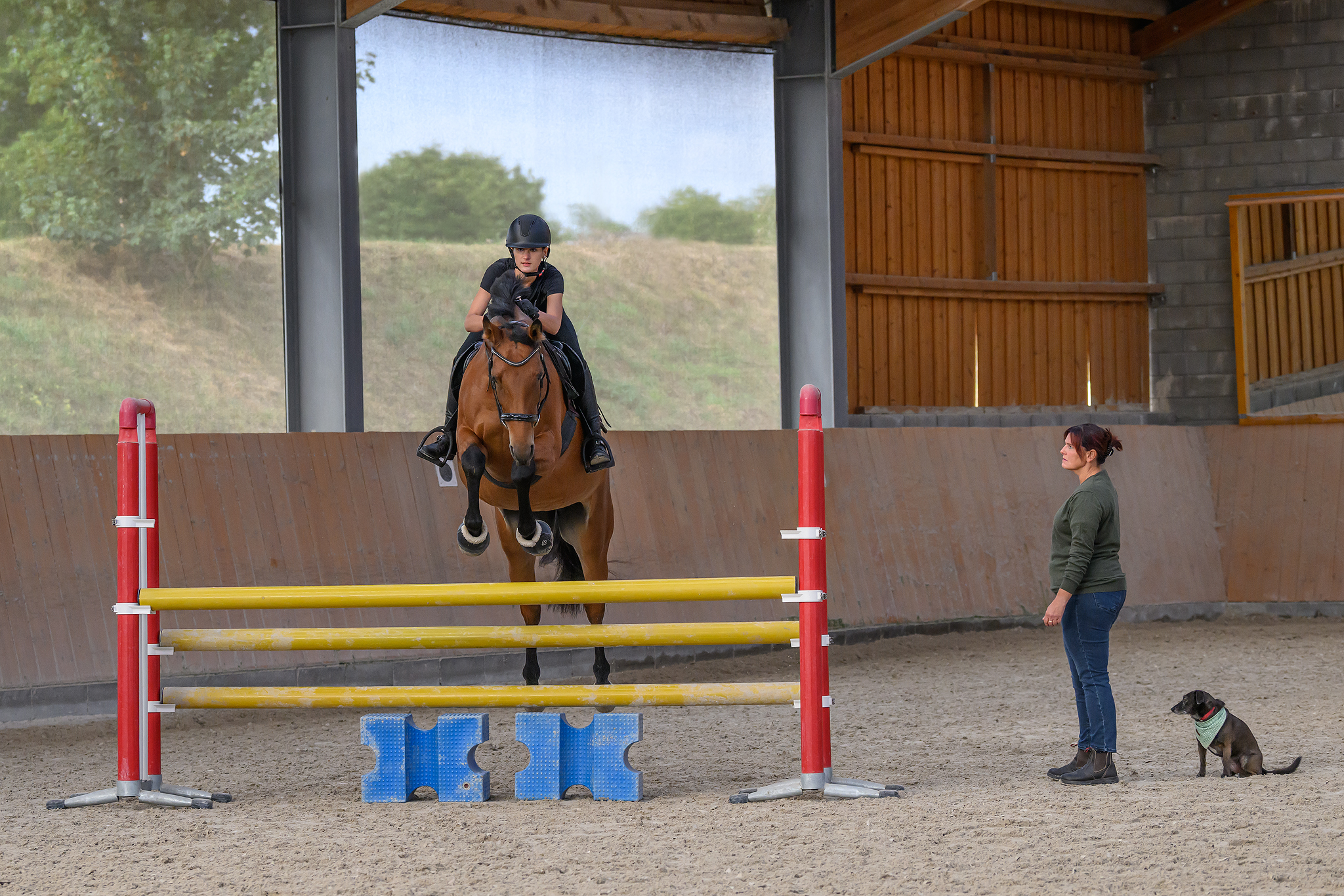 Shooting Reittraining, Springstunde