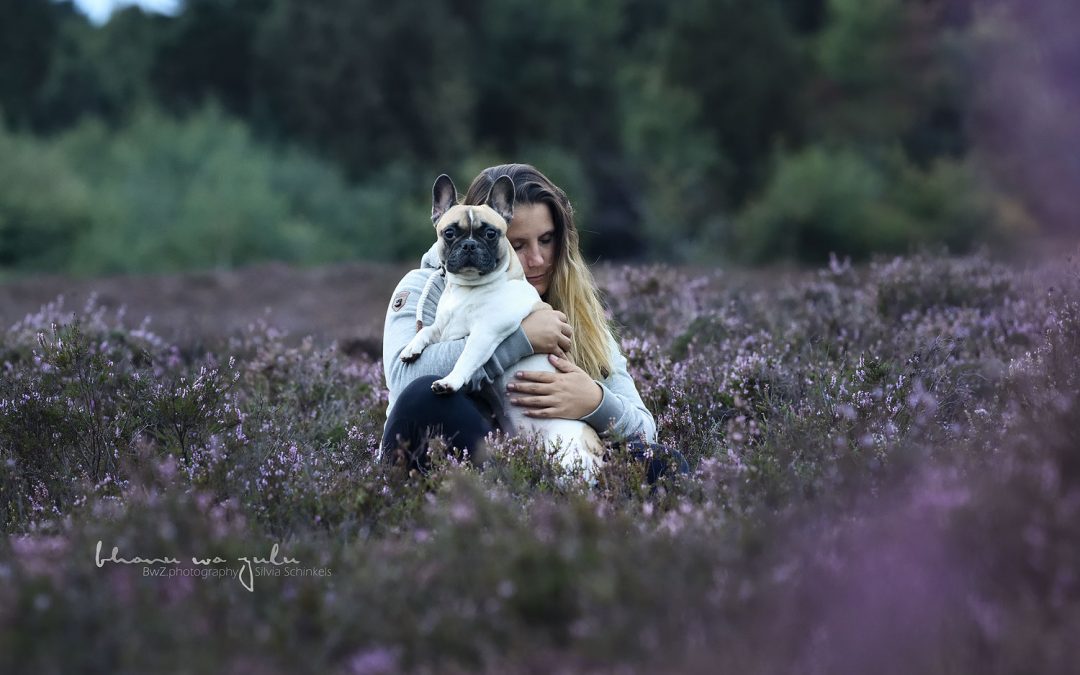 Hundefotografie emotional