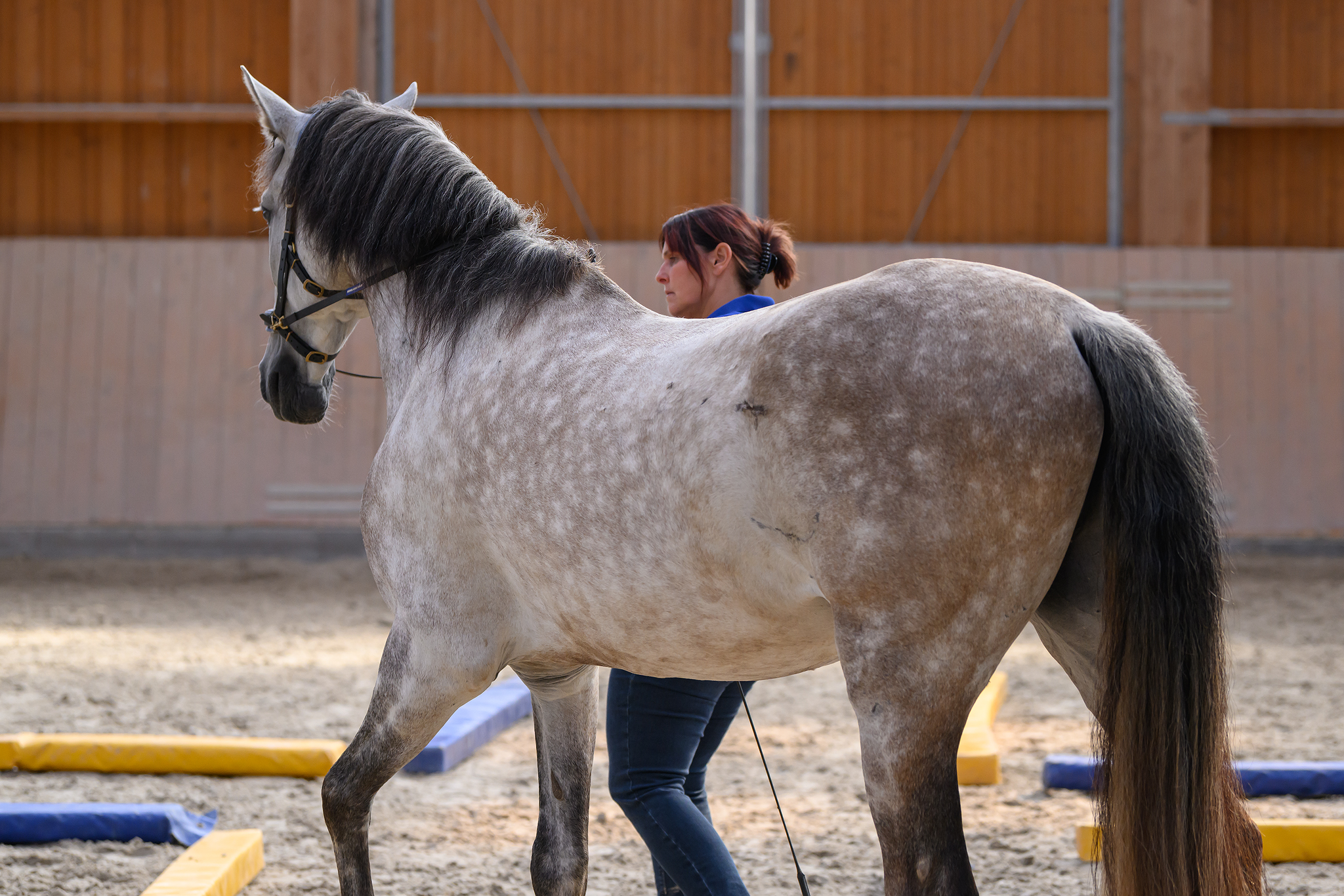 Blau Gelb Schulung