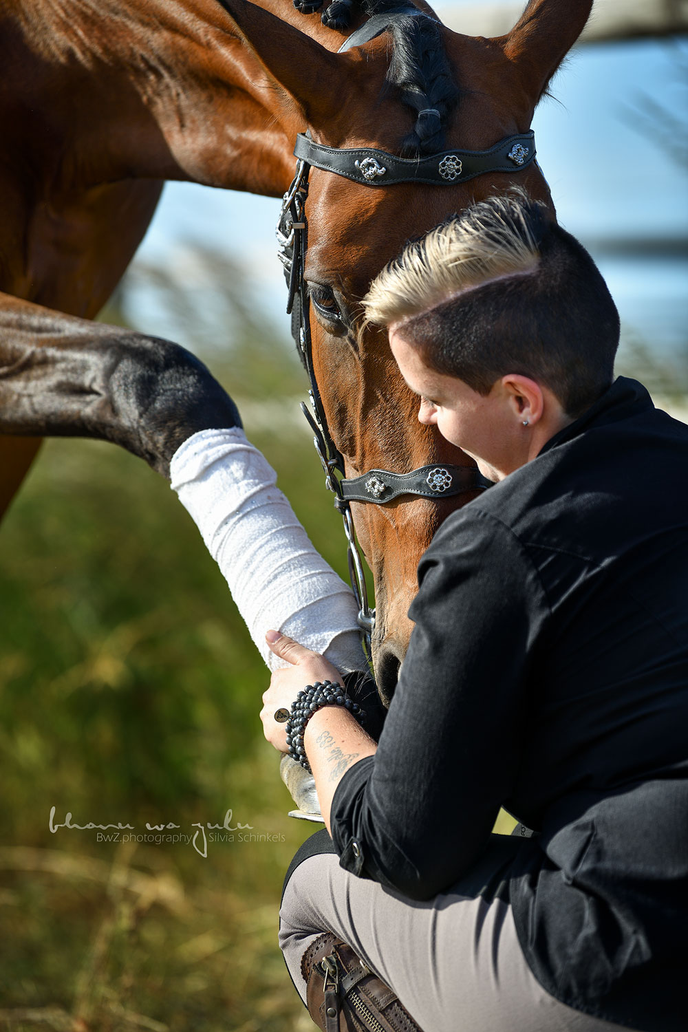 PRE Bardo, Pferdefotografie BwZ.photography