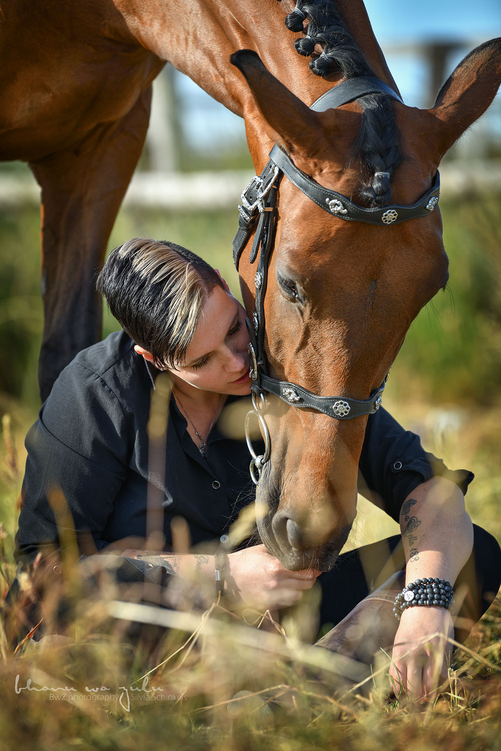 PRE Bardo, Pferdefotografie BwZ.photography