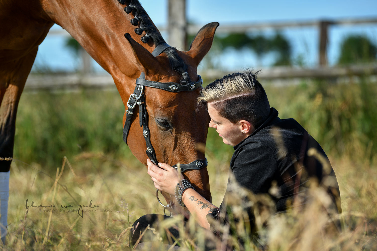 PRE Bardo, Pferdefotografie BwZ.photography