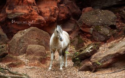 | Location „rote Felswand“