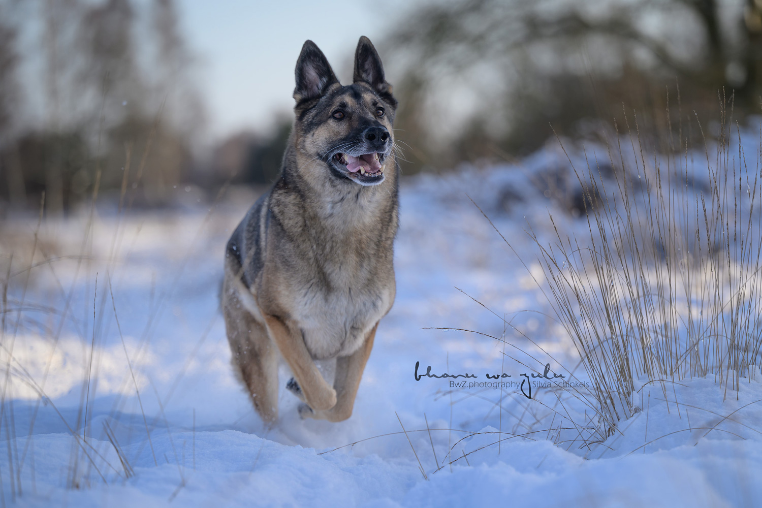 Schneeshooting 2026, Lenny