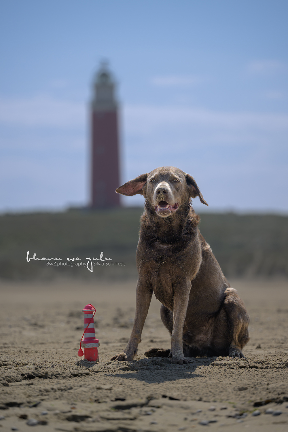 Texel Leuchtturm Shooting