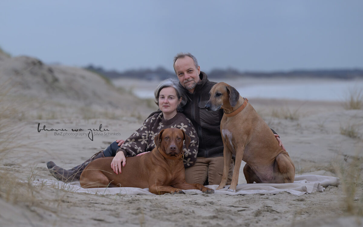 this is us - Feb. 2026