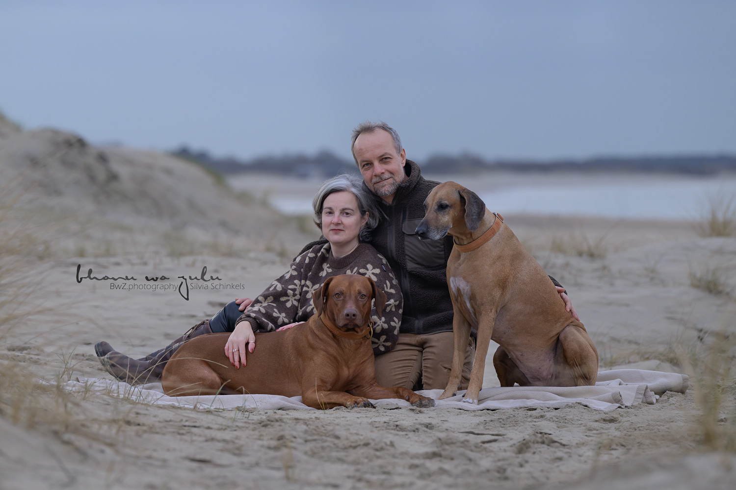 this is us - Feb. 2026